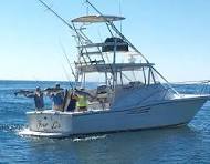 Premium Listing Boat