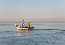 Premium Listing Boat image