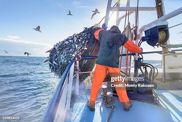 Premium Listing Boat image